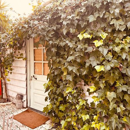 Hotel Casa Rico Frade Garden São Pedro do Corval Zewnętrze zdjęcie