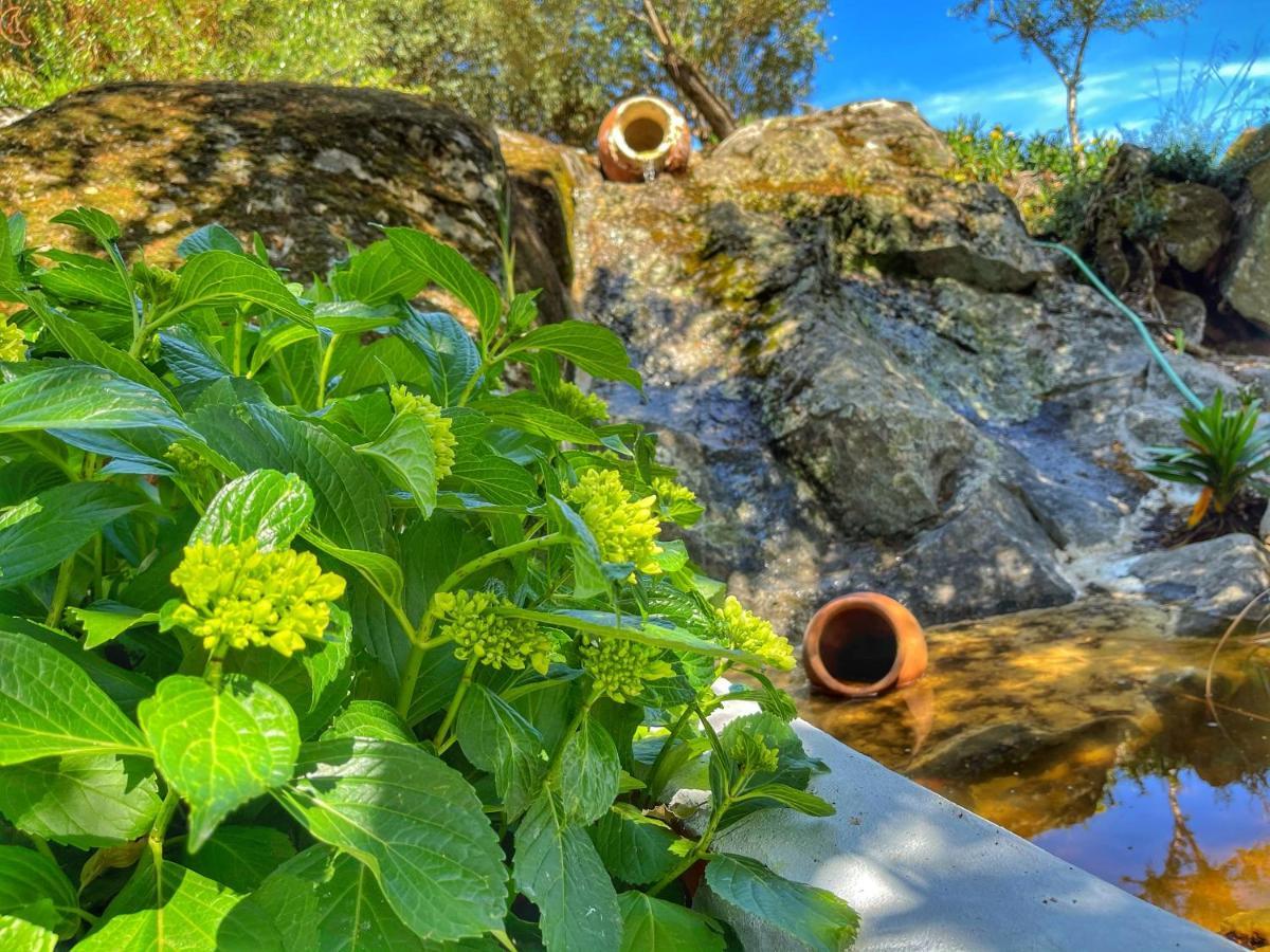 Hotel Casa Rico Frade Garden São Pedro do Corval Zewnętrze zdjęcie