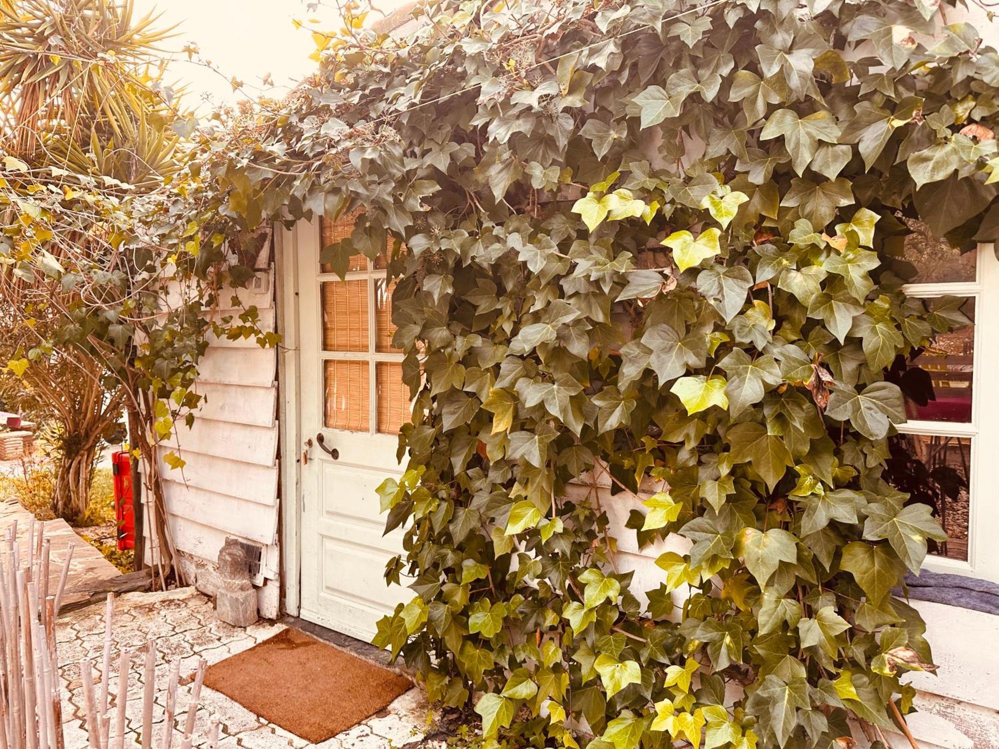 Hotel Casa Rico Frade Garden São Pedro do Corval Zewnętrze zdjęcie
